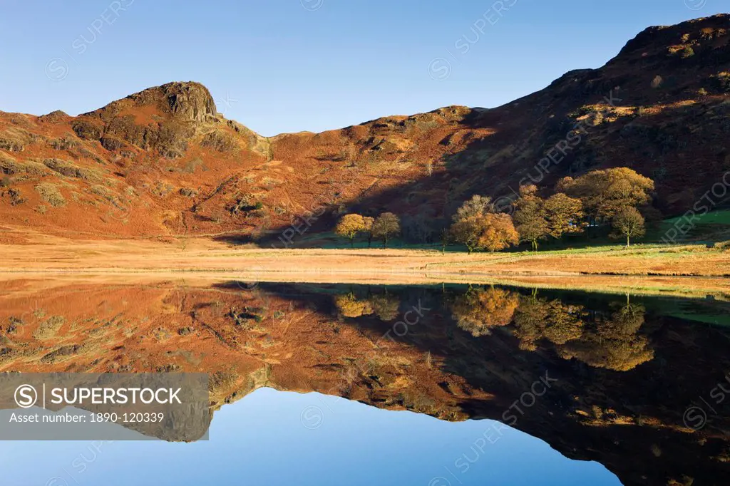 Morning light on the rugged slopes of Side Pike, reflected in Blea Tarn, Lake District National Park, Cumbria, England, United Kingdom, Europe