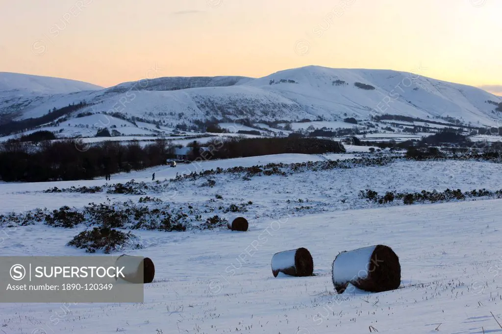Snow covered bracken bales on Mynydd Illtud Common backed by snowy mountains, Brecon Beacons National Park, Powys, Wales, United Kingdom, Europe