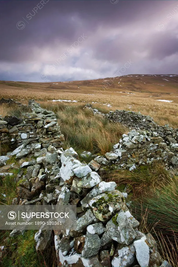 Ruined dry stone walls on the moorland above the Tawe Valley in winter, Fforest Fawr, Brecon Beacons National Park, Powys, Wales, United Kingdom, Euro...