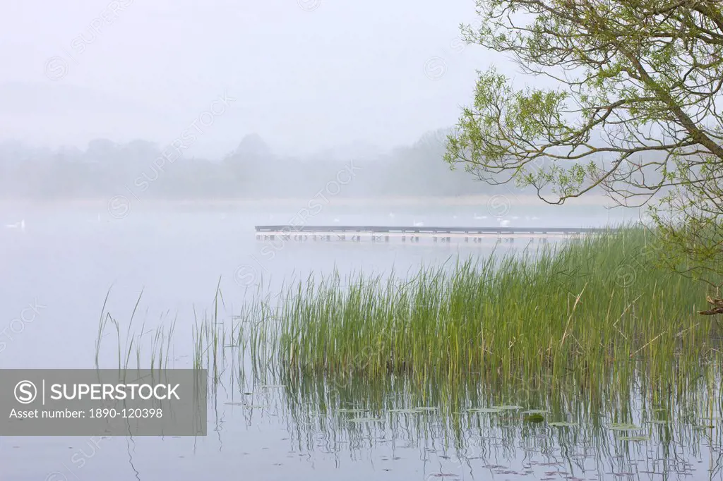 Early morning mist shrouds Llangorse Lake in the Brecon Beacons National Park, Powys, Wales, United Kingdom, Europe
