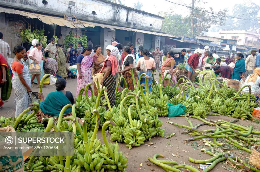 Plantains for sale at vegetable market, Chalai, Trivandrum, Kerala, India, Asia