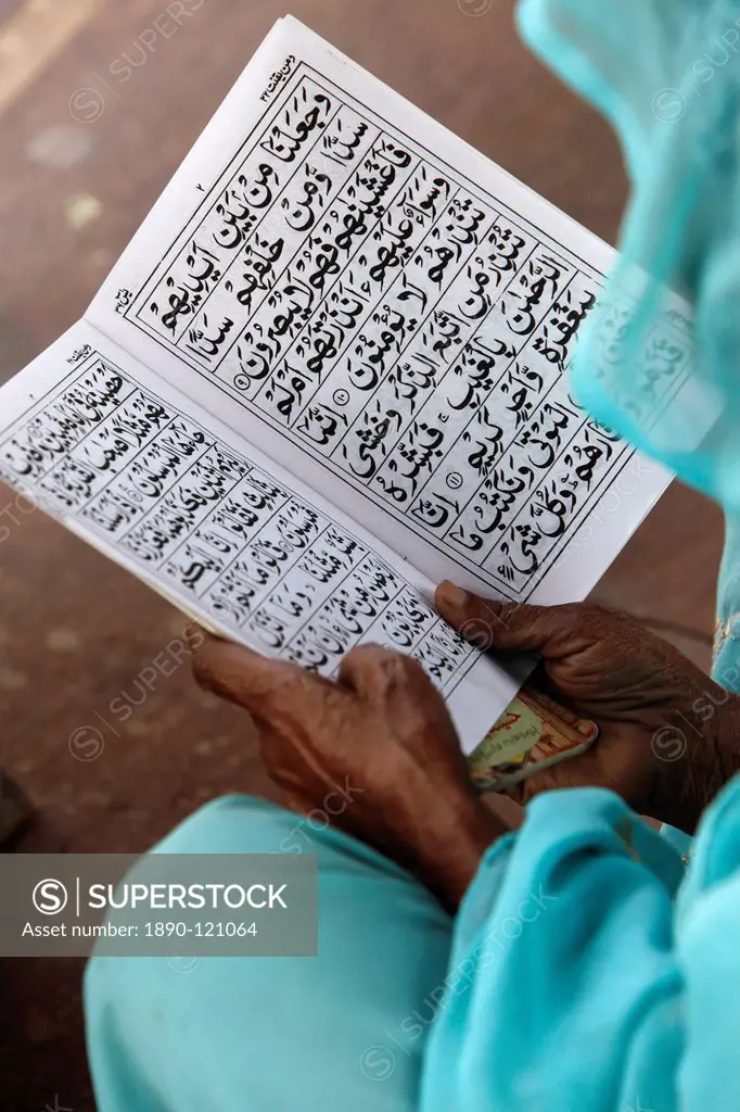 Women reading at Jamma Masjid Delhi Great Mosque, Delhi, India, Asia