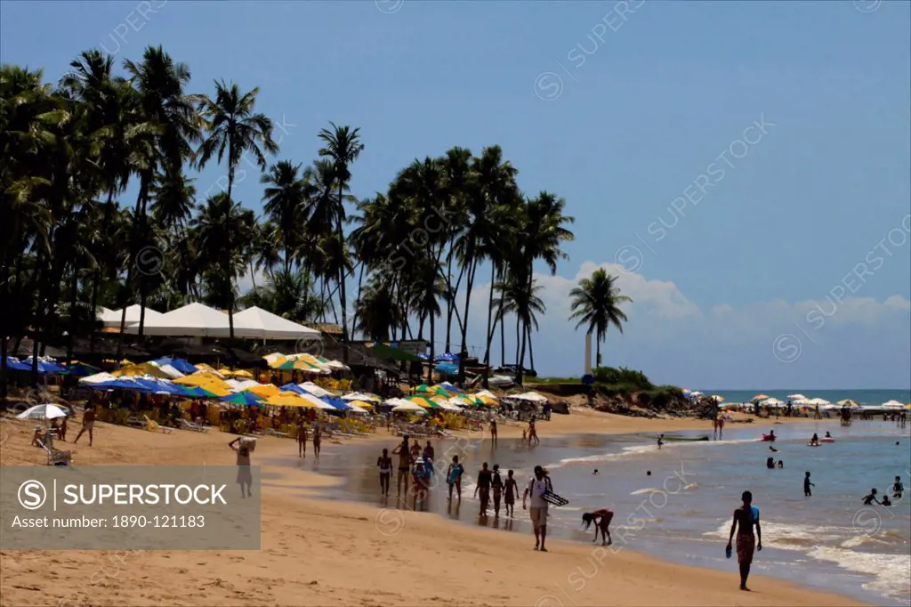 The beach in the protected area of Praia do Forte, on the coast, close to Salvador de Bahia, Brazil, South America