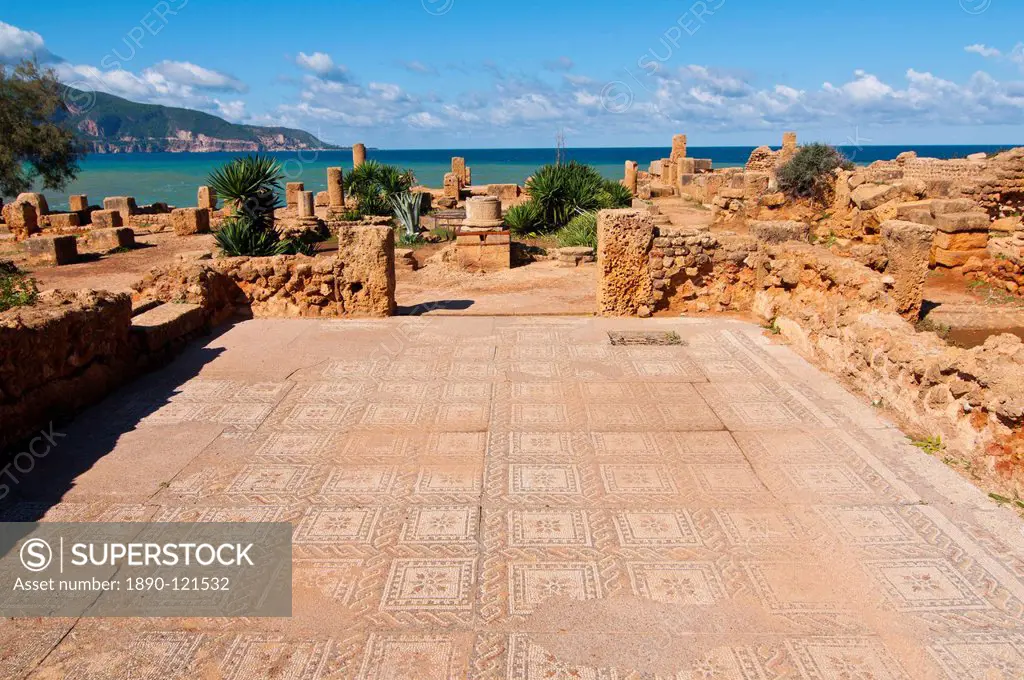 Mosaics at the Roman ruins of Tipasa, UNESCO World Heritage Site, on the Algerian coast, Algeria, North Africa, Africa