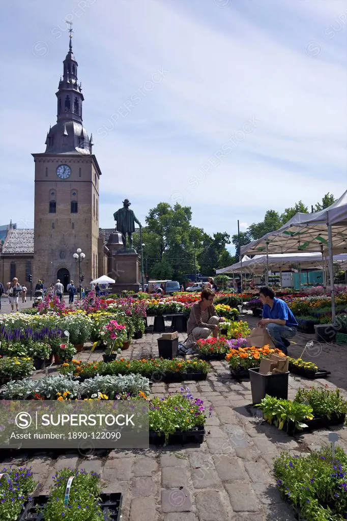 Stortorvet Square with flower market and Cathedral Domkirke, Oslo, Norway, Scandinavia, Europe