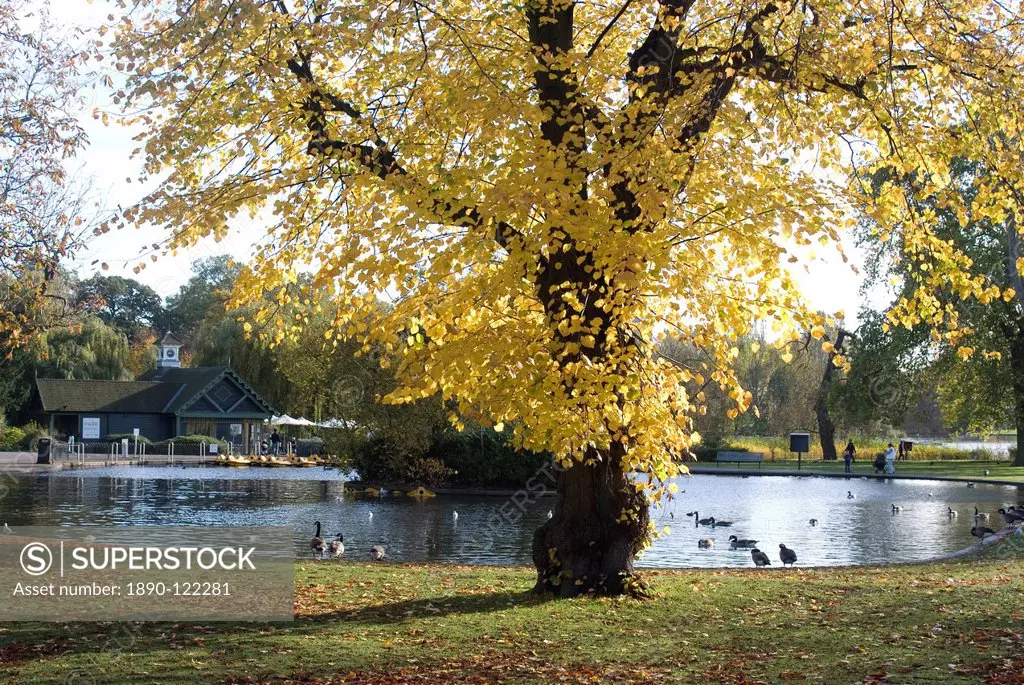 Autumn colours near the boat house, Regent´s Park, London NW1, England, United Kingdom, Europe