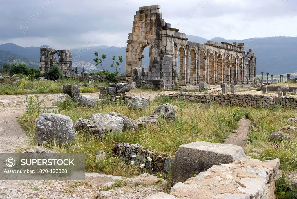 The ancient Roman site of Volubilis, UNESCO World Heritage Site, near Meknes, Morocco, North Africa, Africa