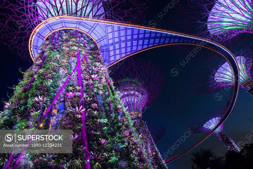 Gardens by the Bay at night, Singapore, Southeast Asia, Asia