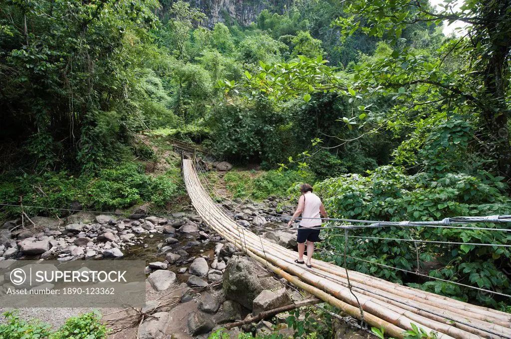 Bamboo bridge at Dark View Falls, St. Vincent, St. Vincent and The Grenadines, Windward Islands, West Indies, Caribbean, Central America