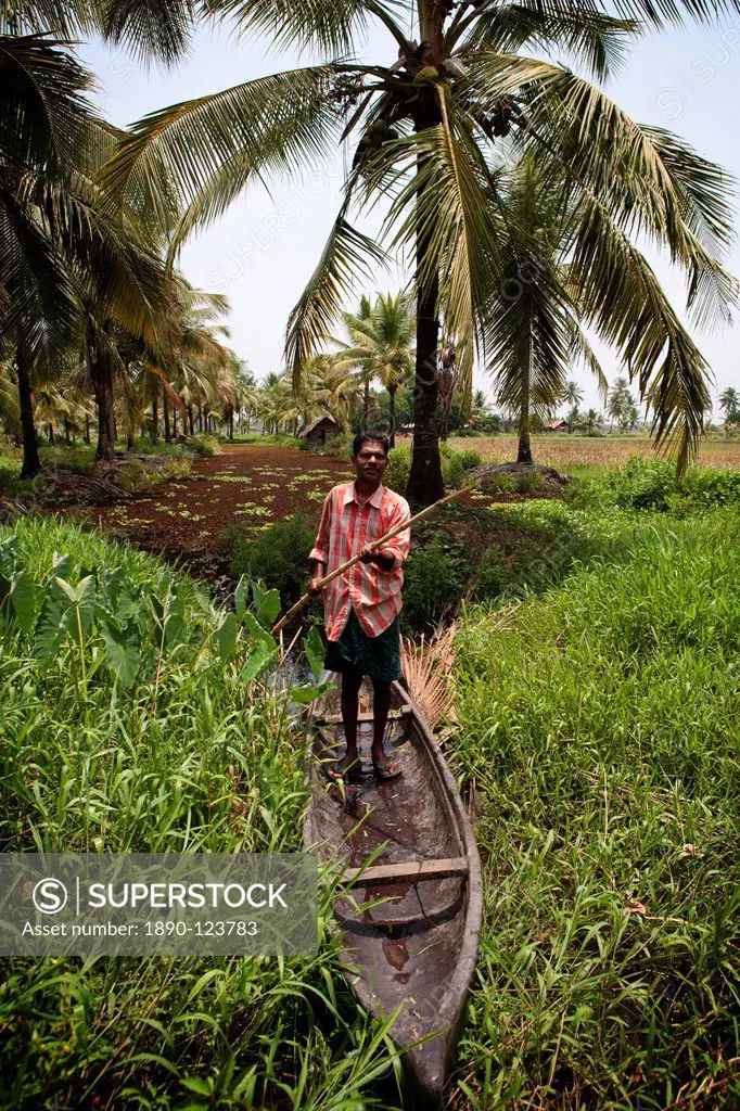 Local man collecting coconut sap for toddy production standing in canoe, Kerala, India, Asia