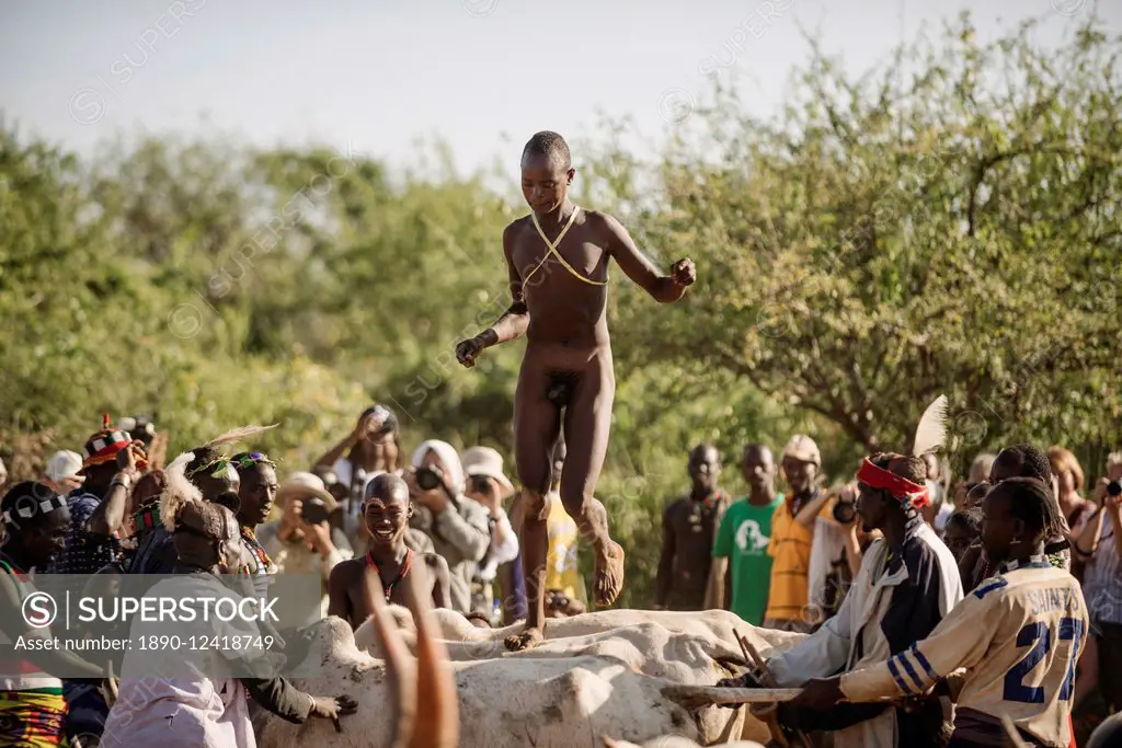Jumping of the Bulls Ceremony, Hamar Tribe, Turmi, Omo Valley, Ethiopia, Africa