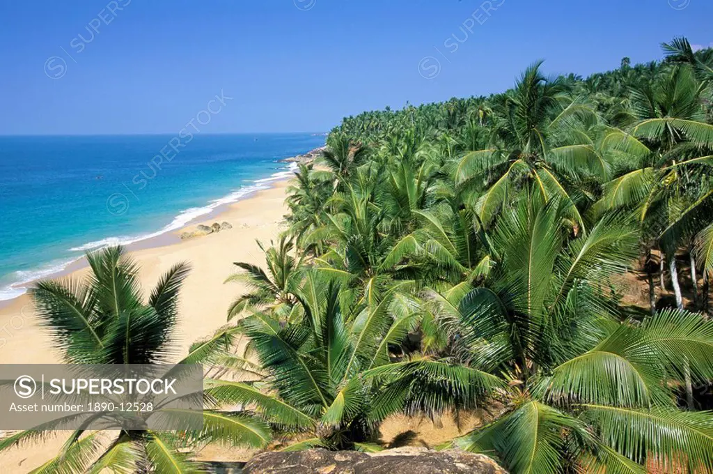 Beach and coconut palms, Kovalam Beach, Kerala state, India, Asia