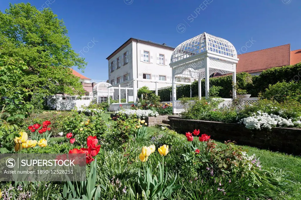 Rosengarten (rose garden) in spring, Ettlingen, Baden-Wurttemberg, Germany, Europe