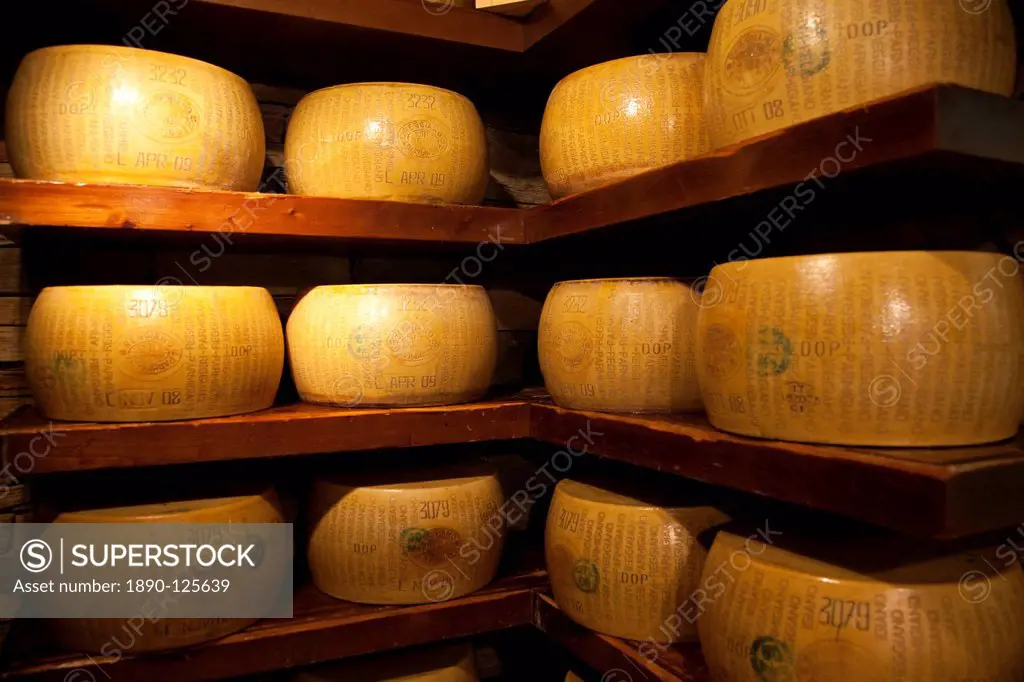 Cheese, Parma, Emilia_Romagna, Italy, Europe