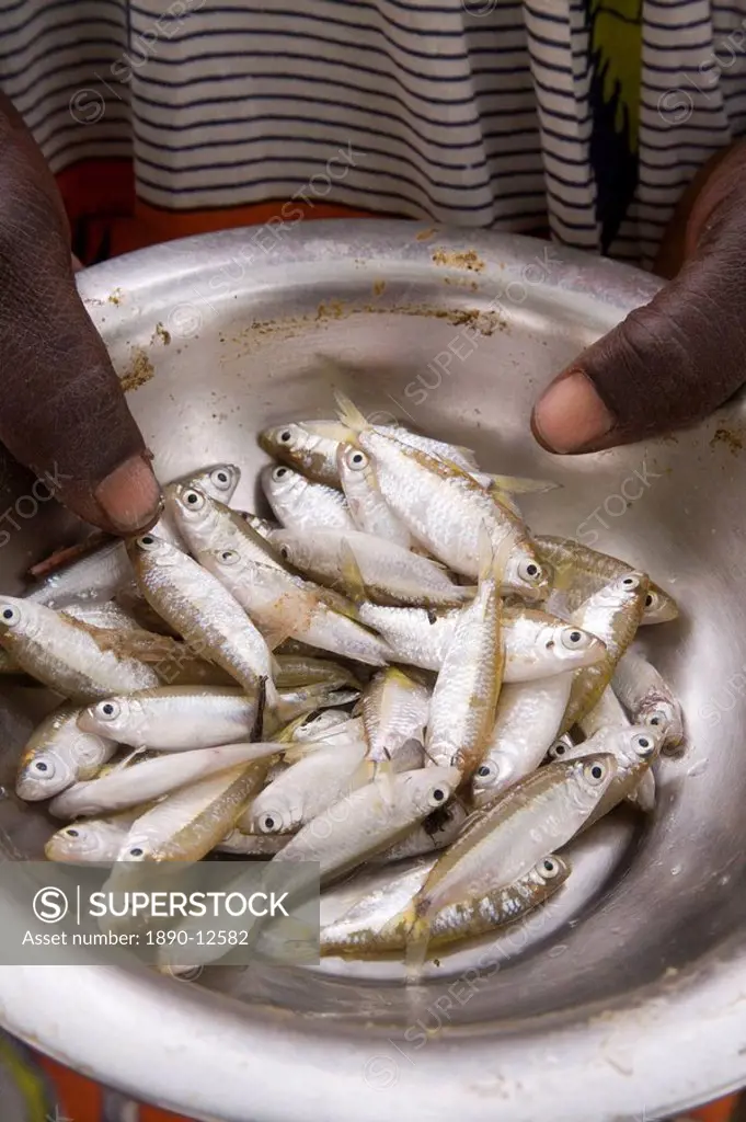 Fish for sale in the local market, Djenne, Niger Inland Delta, Mopti region, Mali, West Africa, Africa