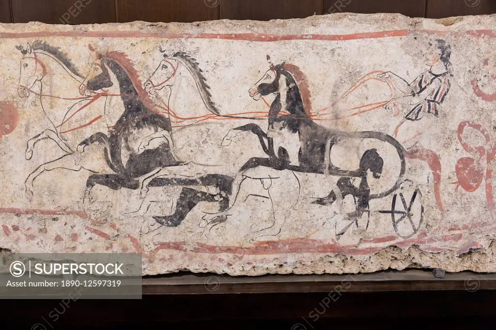 Charioteer and horses, painted tomb slab detail, National Archaeological Museum, Paestum, UNESCO World Heritage Site, Campania, Italy, Europe