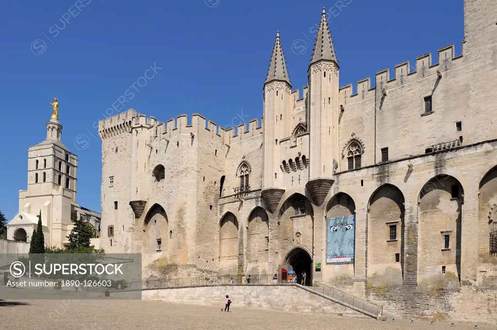 Notre Dame des Doms Cathedral and Palais des Papes, UNESCO World Heritage Site, Avignon, Provence, France, Europe