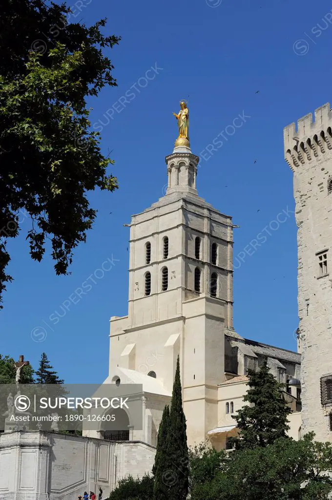 Palais des Papes Papal Palace, UNESCO World Heritage Site, Avignon, Provence, France, Europe