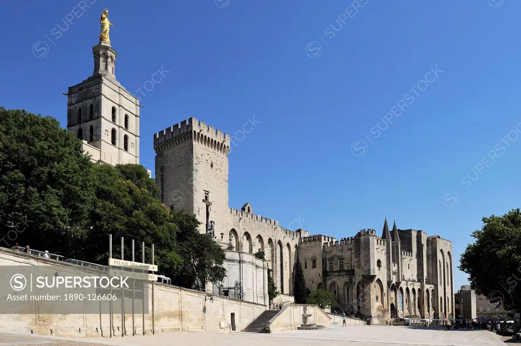 Notre Dame des Doms Cathedral and Palais des Papes Papal Palace, UNESCO World Heritage Site, Avignon, Provence, France, Europe