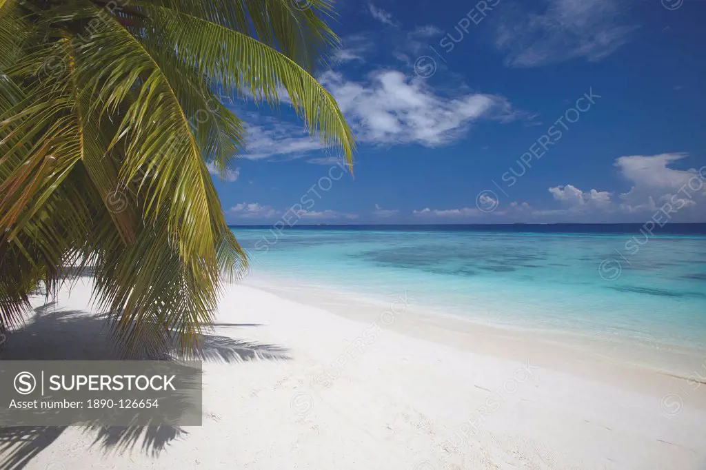 Empty beach on tropical island, Maldives, Indian Ocean, Asia