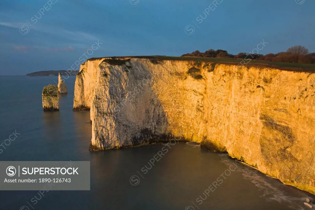 Chalk clifftops of Old Harry Rocks near Swanage, Jurassic Coast, UNESCO World Heritage Site, Dorset, England, United Kingdom, Europe