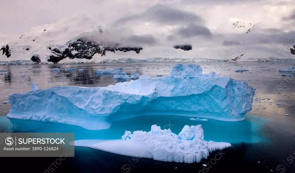 Iceberg drifting in Antarctic waters, Antarctic Peninsula, Antarctica, Polar Regions