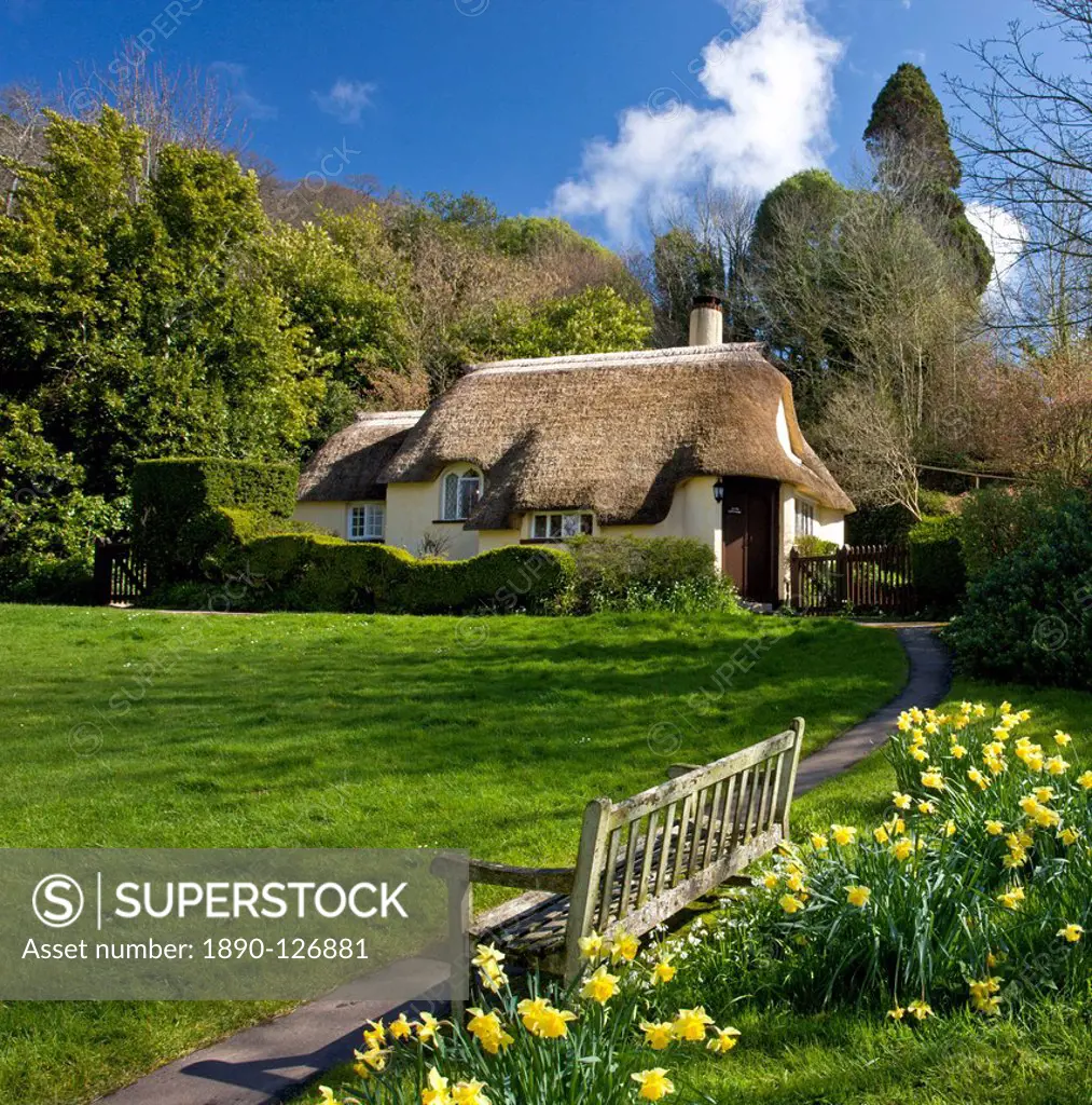 Spring in the picturesque village of Selworthy, Exmoor National Park, Somerset, England, United Kingdom, Europe