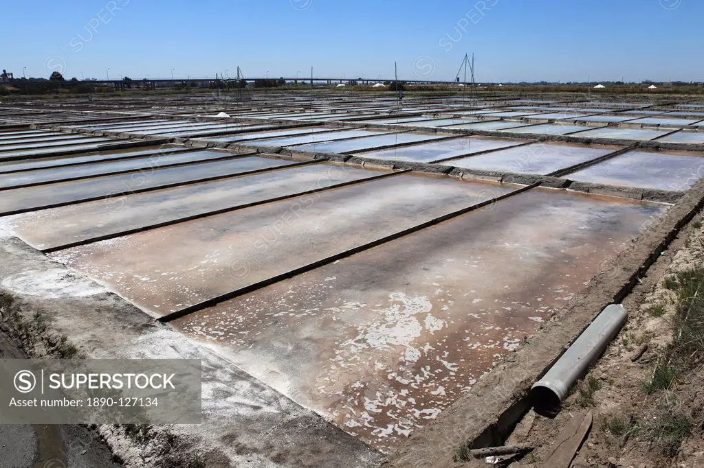 Salt is produced by evaporation under the sun in the salt pans of Aveiro, Beira Litoral, Portugal, Europe