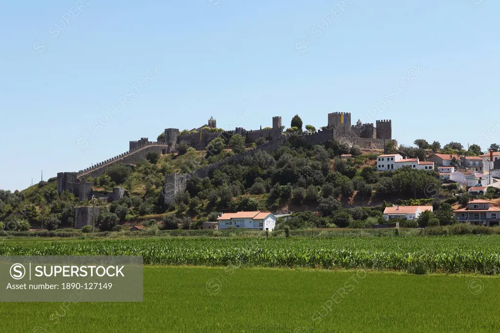 The medieval walled city rises above rice fields at Montemor_o_Velho, Beira Litoral, Portugal, Europe