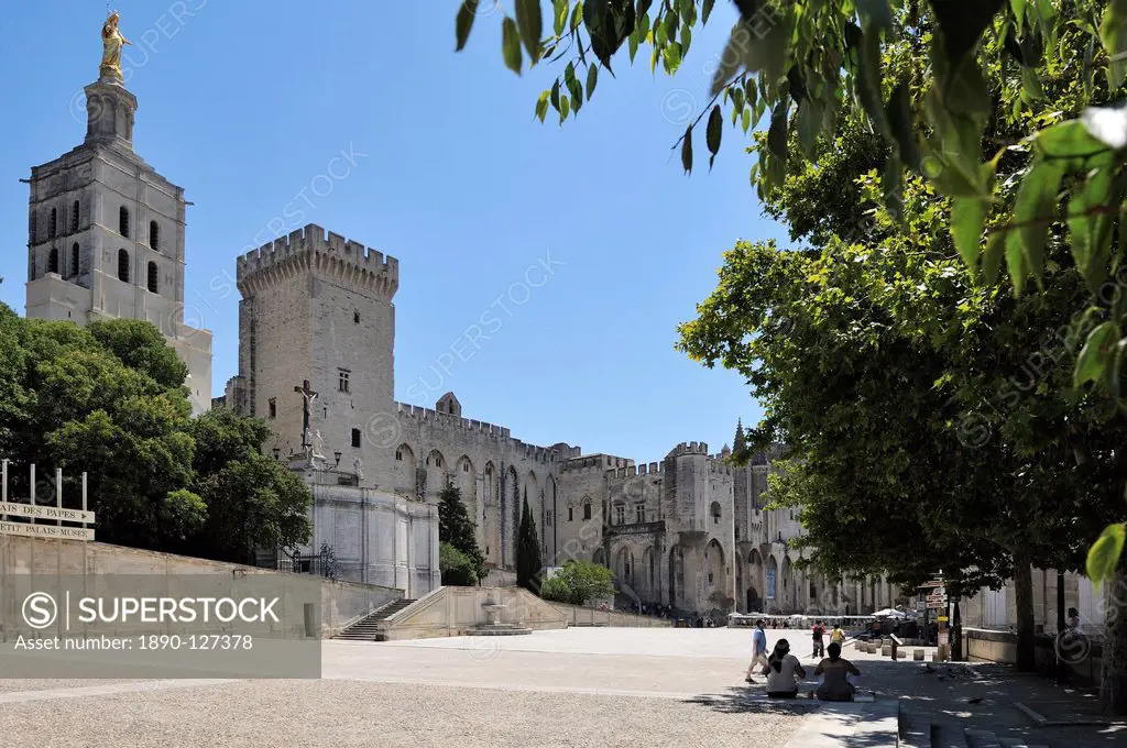 Notre Dame des Doms Cathedral and Palais des Papes, UNESCO World Heritage Site, Avignon, Provence, France, Europe