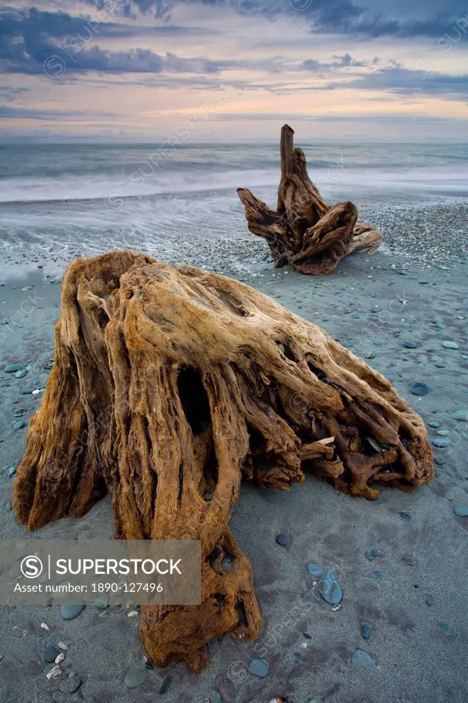 Driftwood along Gillespies Beach on the West Coast of South Island, New Zealand, Pacific