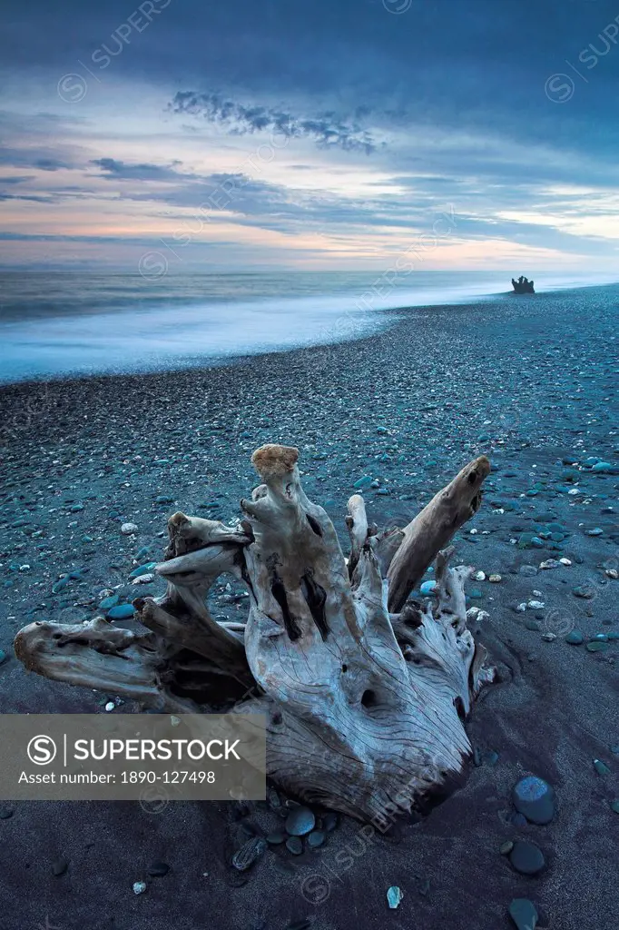 Ancient driftwood on Gillespies Beach, West Coast, South Island, New Zealand, Pacific