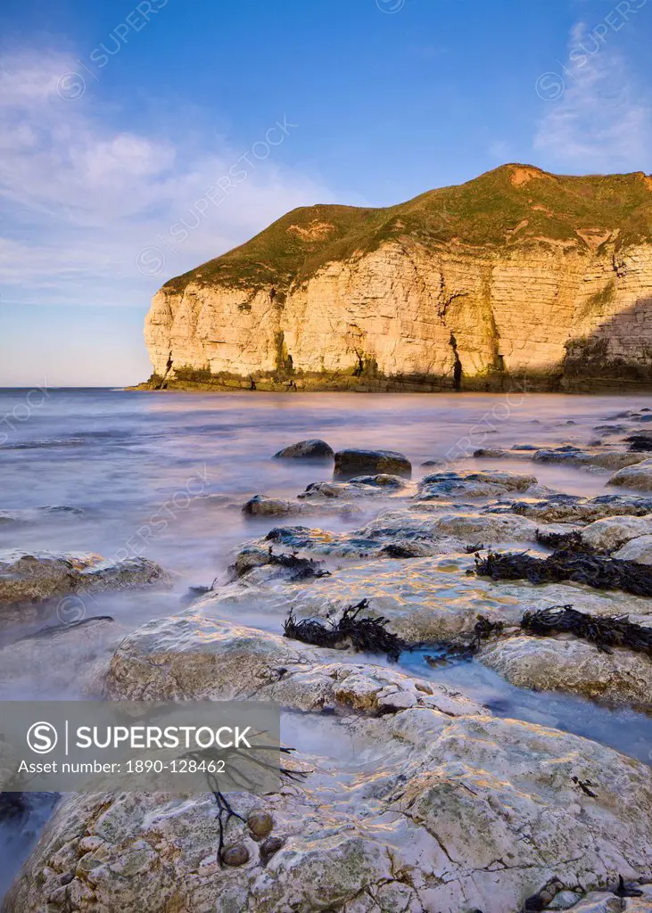 Smooth polished rocks on the shore at Thornwick Bay, looking towards the golden cliffs of Flamborough, Yorkshire, England, United Kingdom, Europe