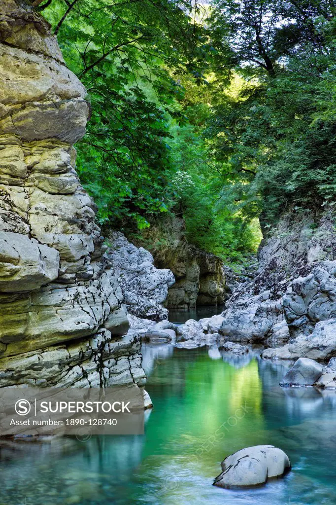 The crystal clear water of the Voidomatis River reflects the vibrant Spring greens in the Vikos Gorge, Zagoria, Epirus, Greece, Europe