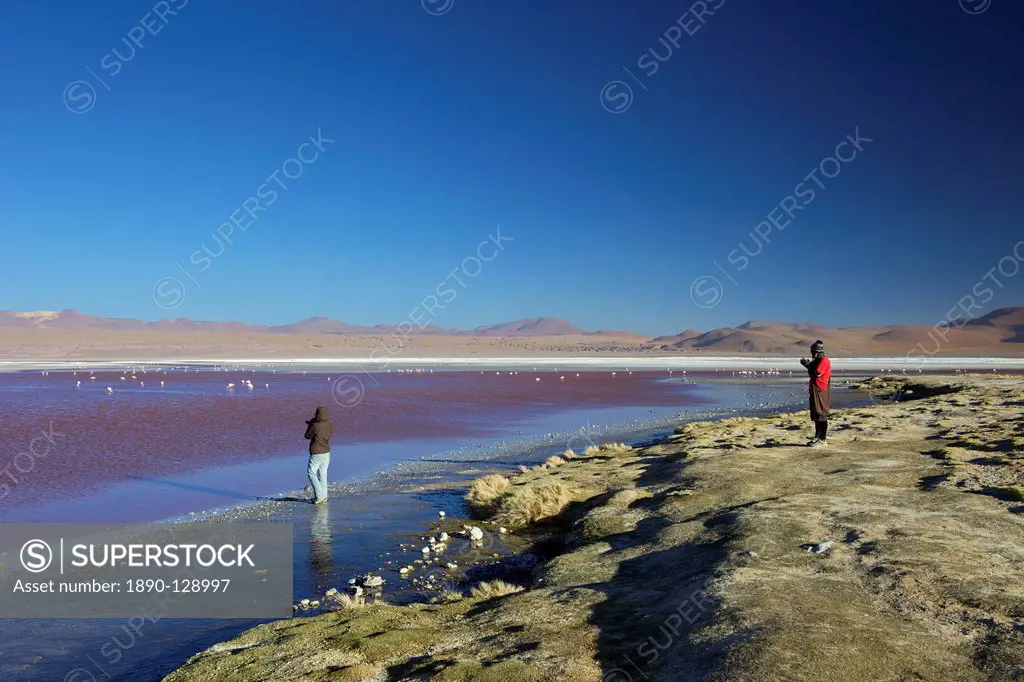 Laguna Colorada Red Lagoon, salt lake in the southwest of the Altiplano of Bolivia, Eduardo Avaroa Andean Fauna National Reserve, Bolivia, South Ameri...