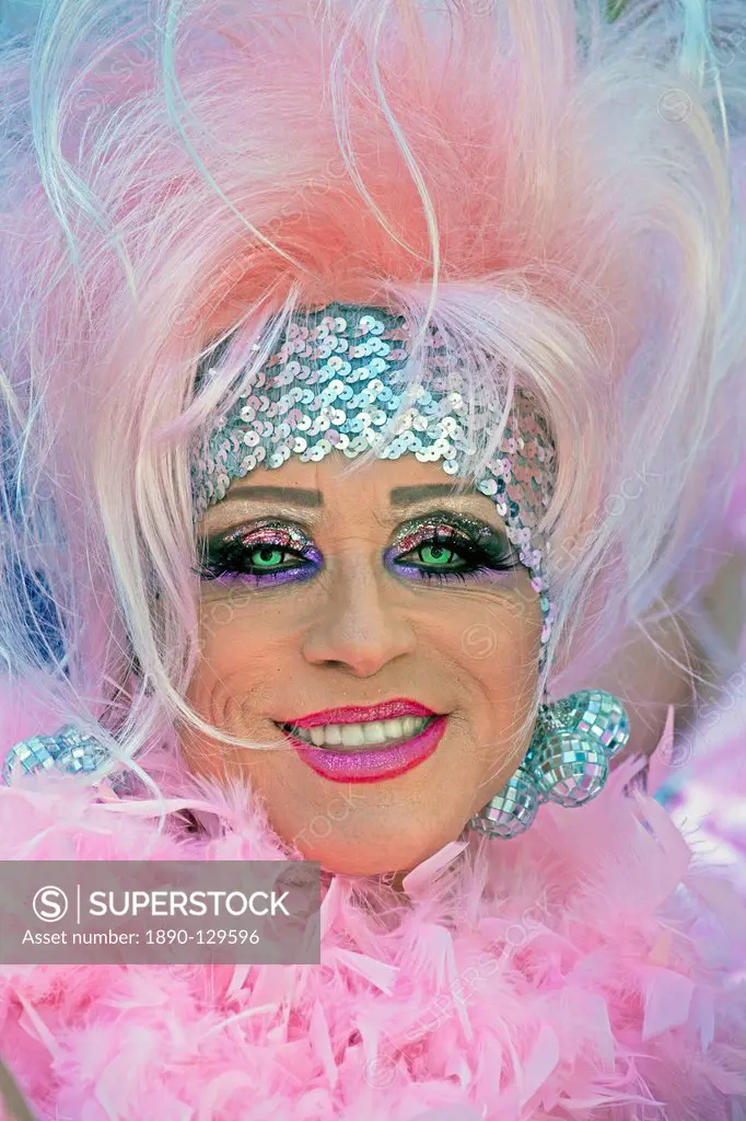 Lesbian Gay Bisexual Transgender Pride Parade, San Francisco, California, United States of America, North America