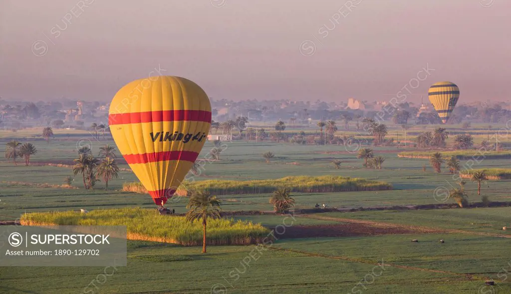 Hot air balloons landing in the fields by Luxor´s Theban Necropolis, Thebes, Egypt, North Africa, Africa