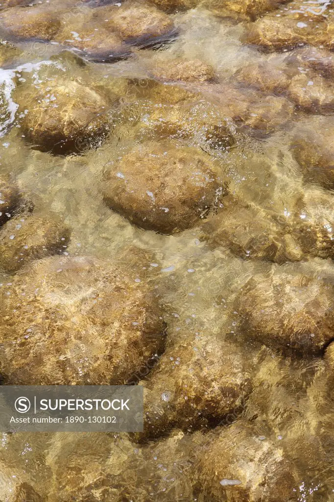 Thrombolites, living stones, in Lake Clifton, Yalgorup National Park, Western Australia, Australia, Pacific