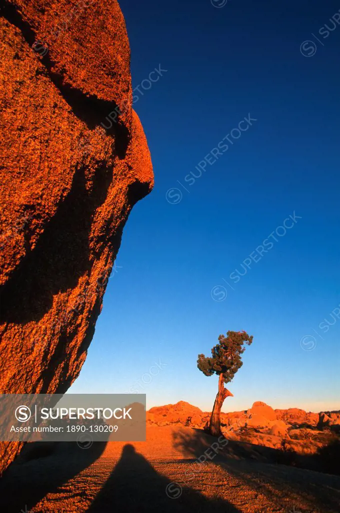 Sunset casts shadows on boulders in Joshua Tree National Park, California, United States of America, North America