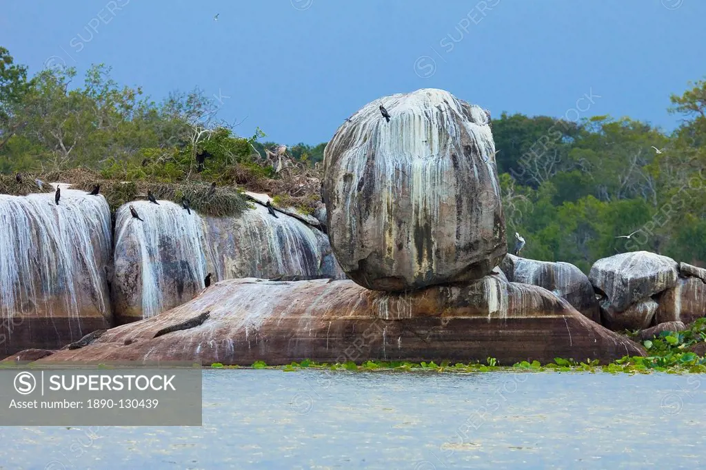 Rock formation with crocodiles and cormorants at Kumana National Park, formerly Yala East, Kumana, Eastern Province, Sri Lanka, Asia