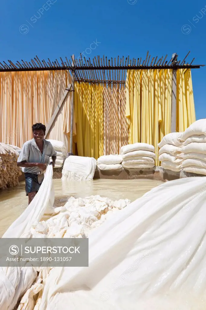 Washing fabric in a bleaching pool, Sari garment factory, Rajasthan, India, Asia