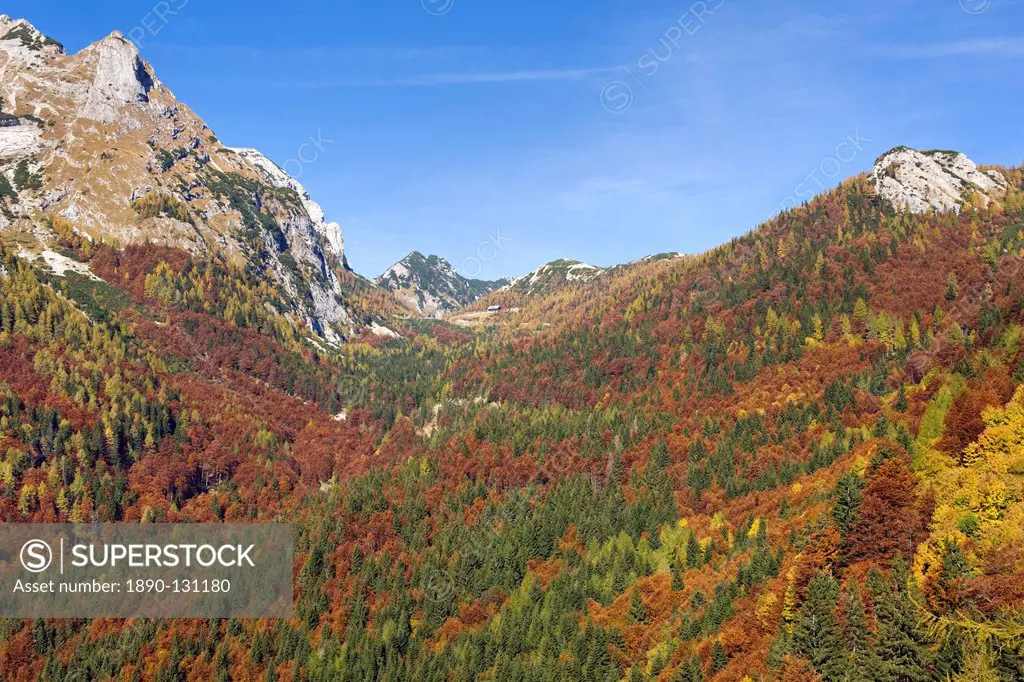 Autumn on the slopes of the Vrsic pass in the Julian Alps, Gorenjska, Slovenia, Europe