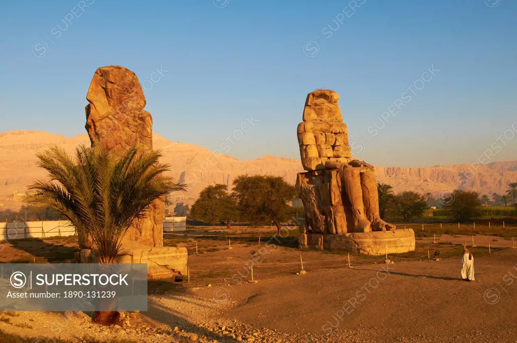 Colossi of Memnon, carved to represent the 18th dynasty pharaoh Amenhotep III, West Bank of the River Nile, Thebes, UNESCO World Heritage Site, Egypt,...