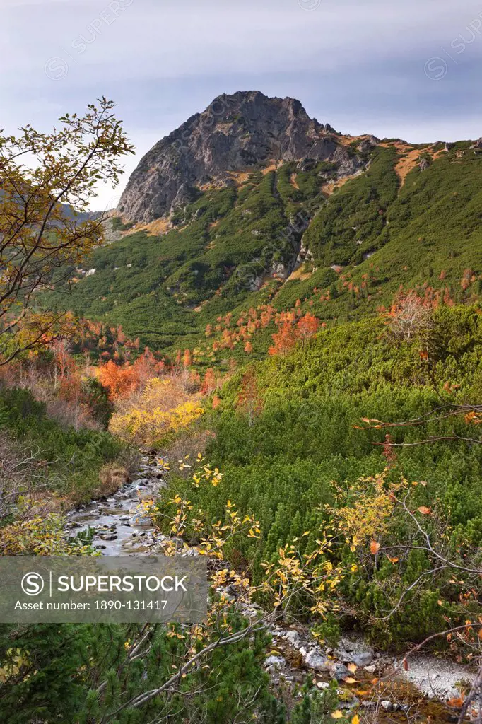 Autumn in the mountains of the High Tatras, Slovakia, Europe
