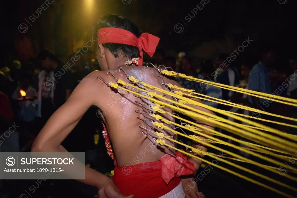 Man with hooks through the skin on his back at the annual Hindu festival of Thaipusam in the Batu Caves near Kuala Lumpur, Malaysia, Southeast Asia, A...