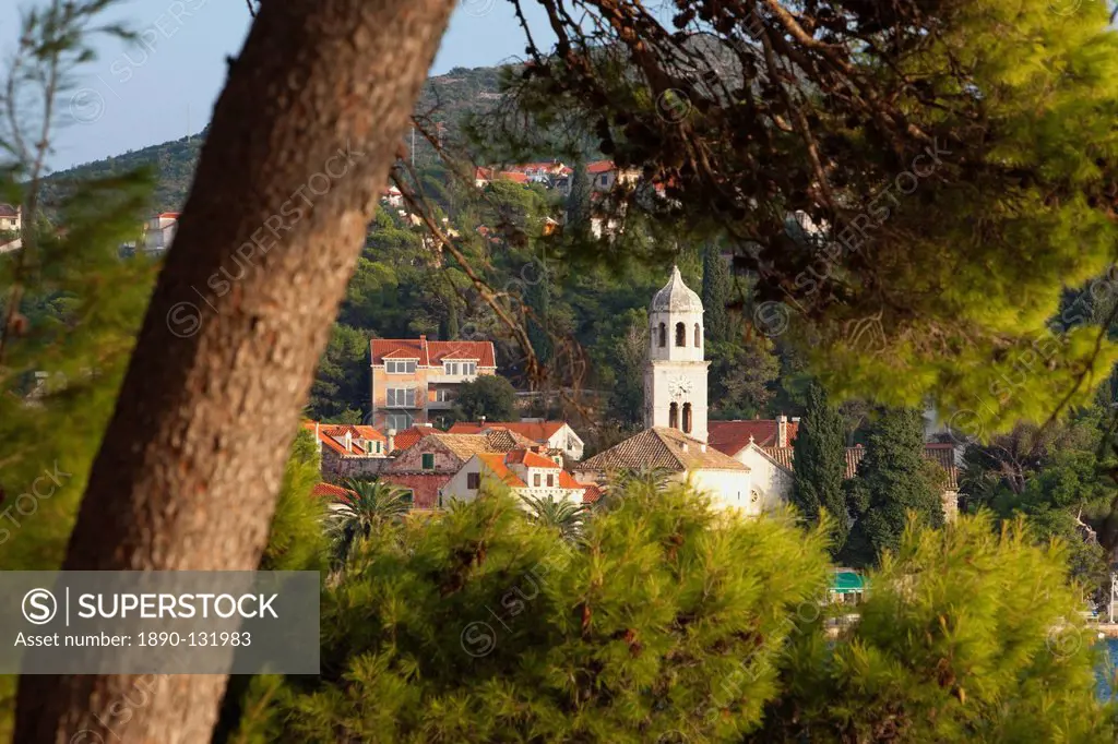 Cavtat town through trees, Cavtat, Dalmatia, Croatia, Europe