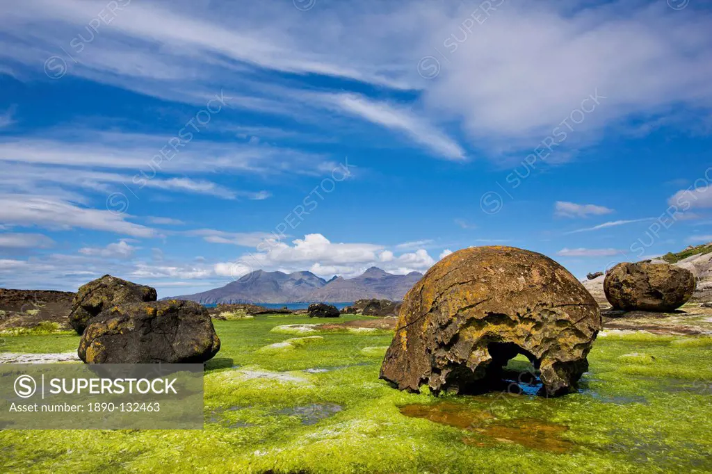 Giant erratic boulders on a seaweed bed on the Isle of Eigg, Inner Hebrides, Scotland, United Kingdom, Europe