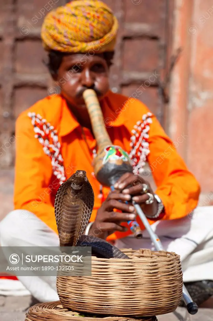 Cobra snake charmer outside the City Palace, Jaipur, Rajasthan, India, Asia