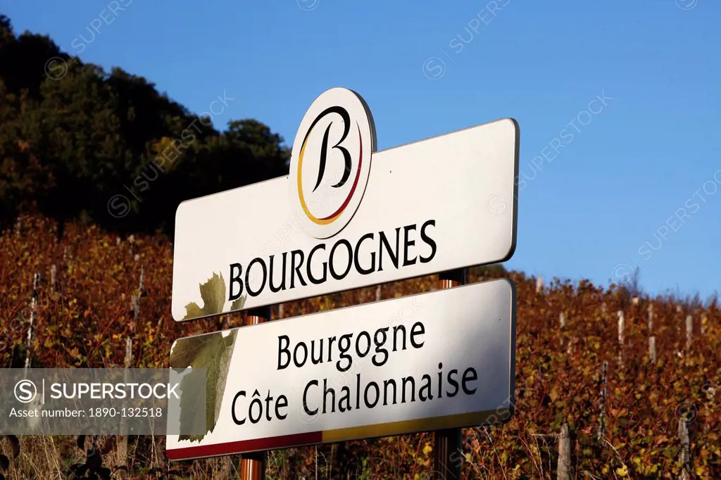 Burgundy vineyard sign, Culles_les_Roches, Saone_et_Loire, Burgundy, France, Europe