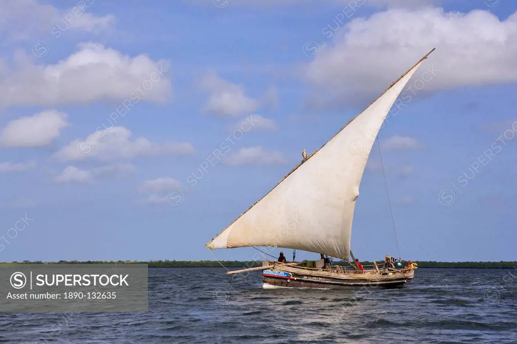 A traditional dhow boat sailing off the coast of Lamu, Kenya, East Africa, Africa